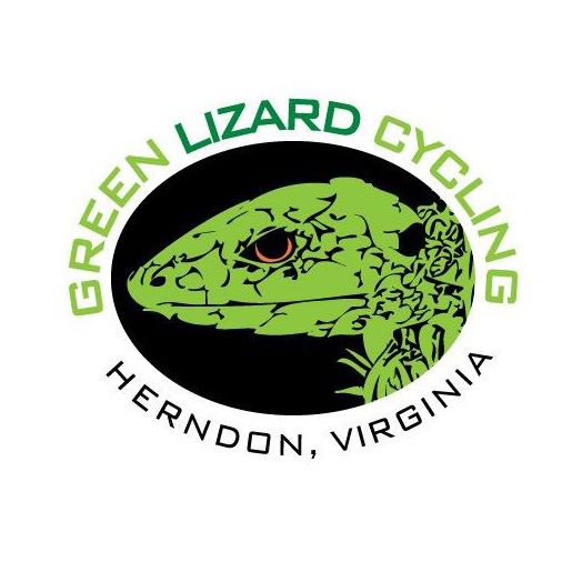 Green Lizard Cycling Workshop